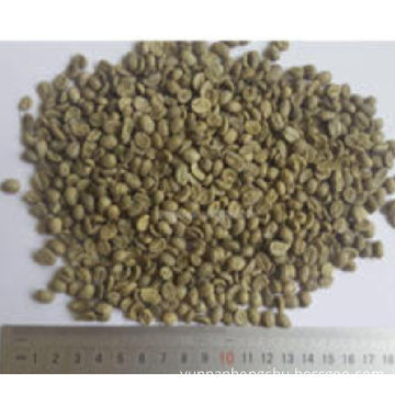 Pure Green Coffee Bean suppliers